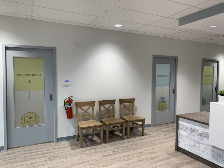 IMG 9624 scaled 1 768x576